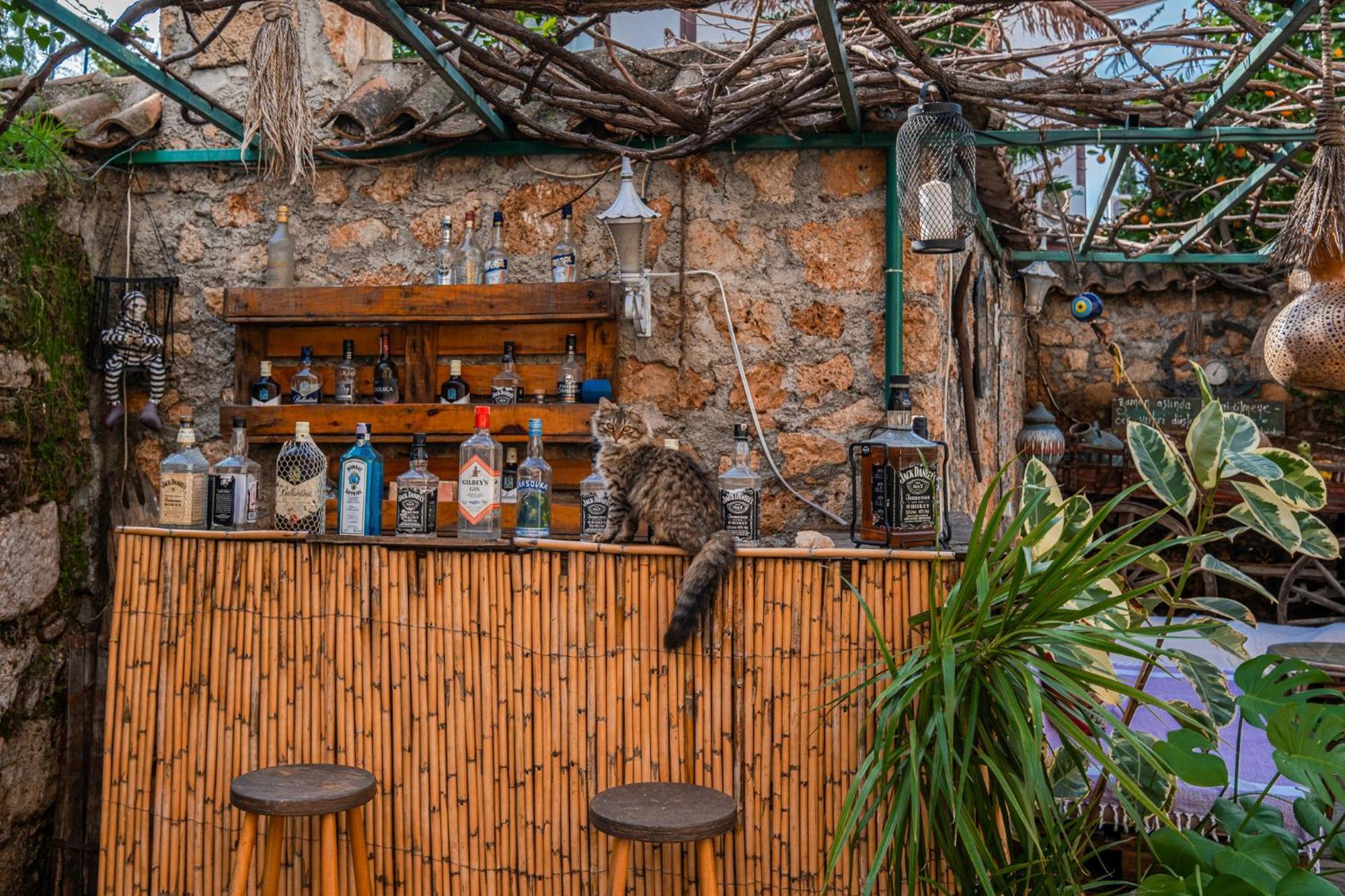 Villa Tulipan Antalya Luaran gambar